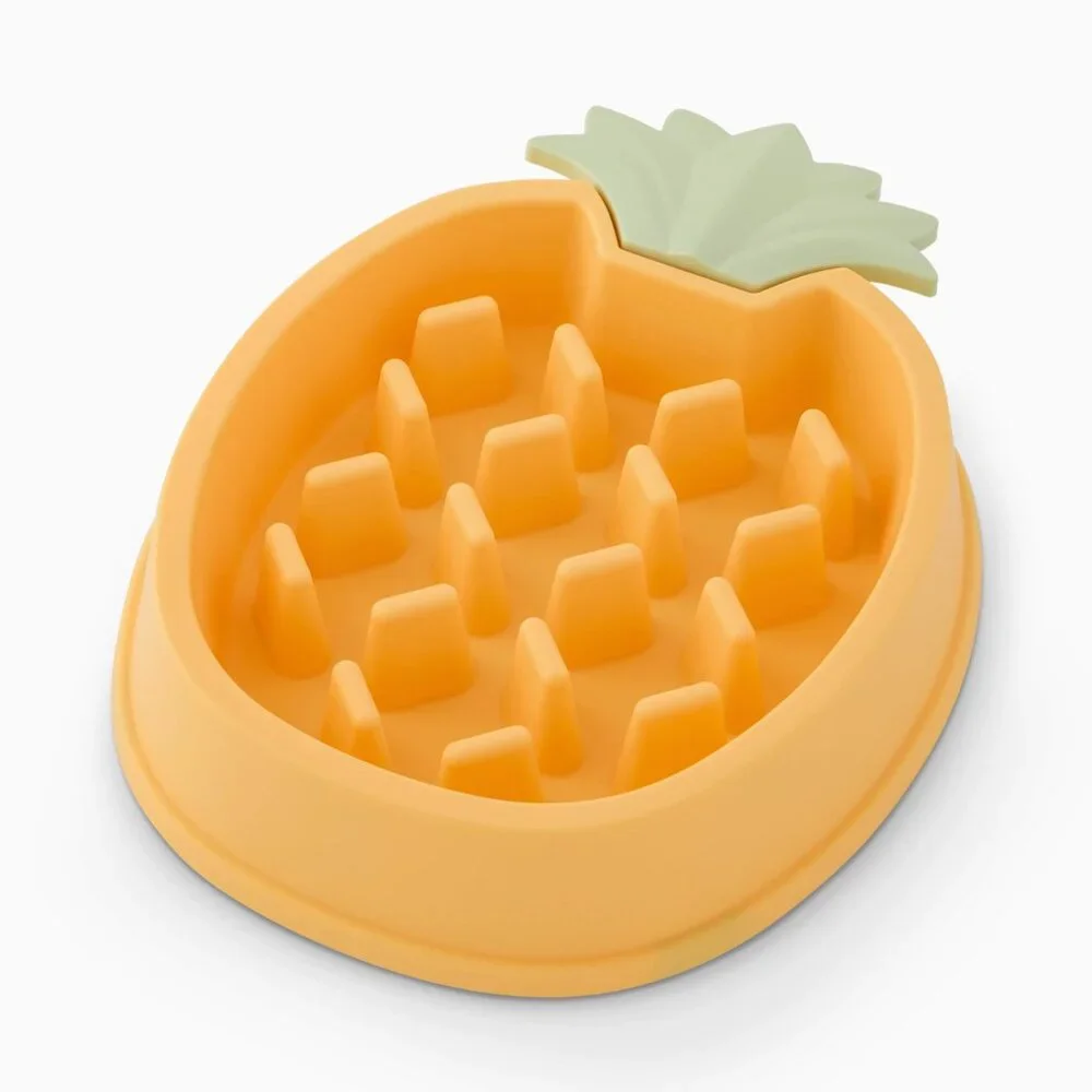Pineapple Slow Feeder